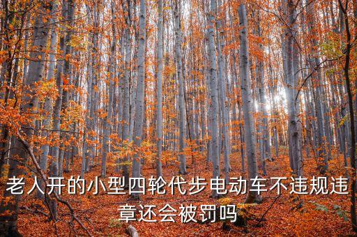 老人開(kāi)的小型四輪代步電動(dòng)車不違規(guī)違章還會(huì)被罰嗎