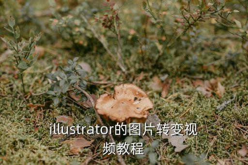 illustrator的圖片轉(zhuǎn)變視頻教程