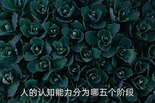 數(shù)據(jù)賦能的五個(gè)階段，計(jì)算機(jī)數(shù)據(jù)管理的發(fā)展分為哪五個(gè)階段求解拜托了