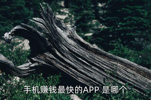 賺錢最快的軟件，什么app賺錢快