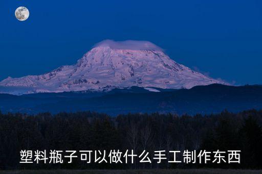 塑料瓶子可以做什么手工制作東西