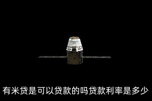 胖胖有米app借款，我想借款啊請(qǐng)問在有米貸上如何借款呢誰可以講下流程嗎