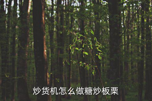 炒貨機(jī)可以炒哪些東西，怎樣的炒貨機(jī)好燒電還是燃?xì)? /></a><a href=