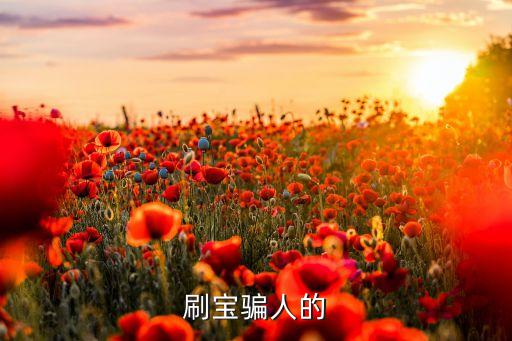 刷寶騙人的