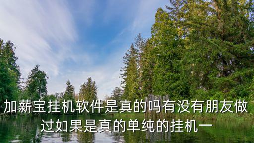加薪寶掛機軟件是真的嗎有沒有朋友做過如果是真的單純的掛機一