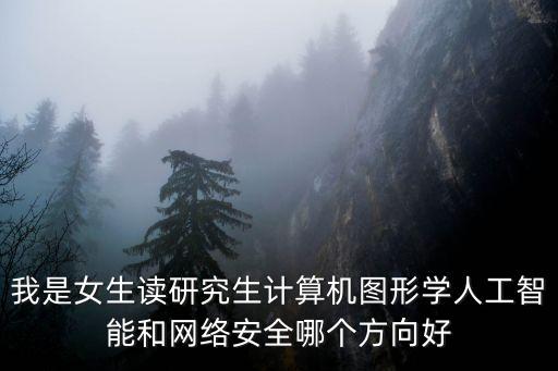 我是女生讀研究生計(jì)算機(jī)圖形學(xué)人工智能和網(wǎng)絡(luò)安全哪個(gè)方向好