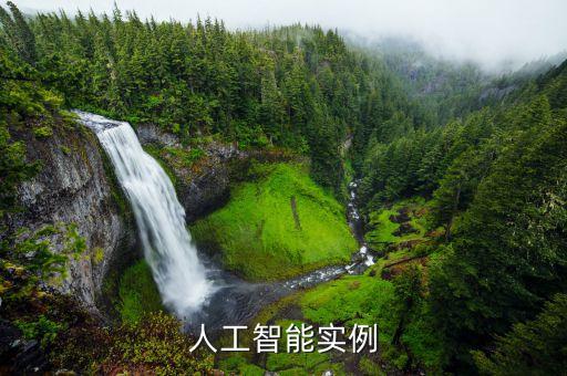人工智能實例