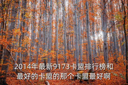2014年最新9173卡盟排行榜和最好的卡盟的那個卡盟最好啊