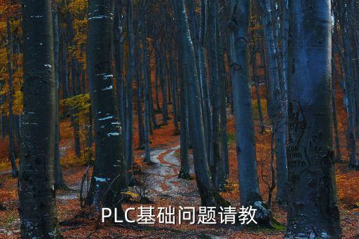 PLC基礎(chǔ)問(wèn)題請(qǐng)教