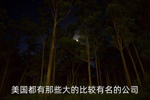 美國都有那些大的比較有名的公司