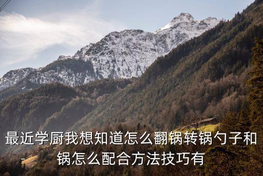 最近學(xué)廚我想知道怎么翻鍋轉(zhuǎn)鍋勺子和鍋怎么配合方法技巧有