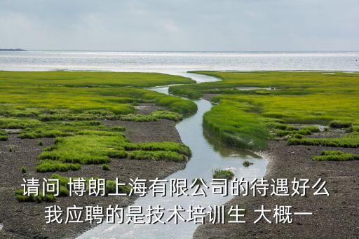 上海擎朗智能科技待遇怎么樣，請問 博朗上海有限公司的待遇好么 我應聘的是技術培訓生 大概一