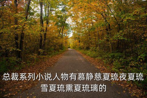 我掀起了科技狂潮總裁小說(shuō)，總裁系列小說(shuō)人物有慕靜慈夏琉夜夏琉雪夏琉熏夏琉璃的