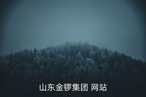 山東金鑼集團(tuán) 網(wǎng)站