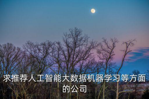 求推薦人工智能大數(shù)據(jù)機器學習等方面的公司