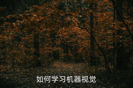 如何學(xué)習(xí)機(jī)器視覺(jué)