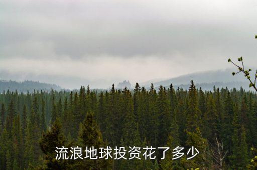流浪地球投資花了多少