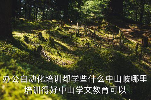 辦公自動(dòng)化培訓(xùn)都學(xué)些什么中山岐哪里培訓(xùn)得好中山學(xué)文教育可以