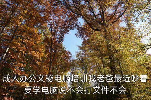 成人辦公軟件培訓(xùn)班，成人辦公文秘電腦培訓(xùn)我老爸最近吵著要學(xué)電腦說不會打文件不會