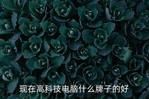 現(xiàn)在高科技電腦什么牌子的好