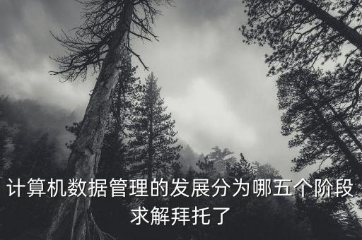 計算機數(shù)據(jù)管理的發(fā)展分為哪五個階段求解拜托了