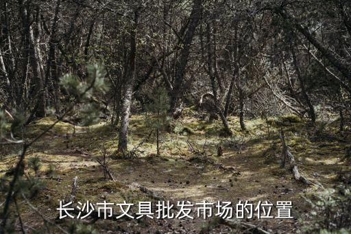 長沙市文具批發(fā)市場的位置