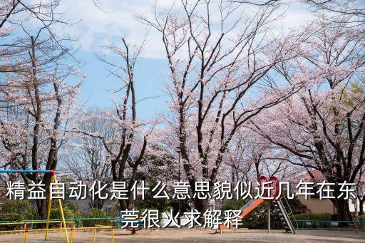 精益自動(dòng)化是什么意思貌似近幾年在東莞很火求解釋