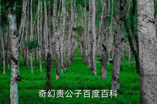 幕后科技霸主百度百科，奇幻貴公子百度百科
