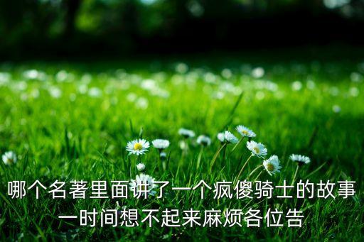 瘋騎士，哪個(gè)名著里面講了一個(gè)瘋傻騎士的故事一時(shí)間想不起來麻煩各位告