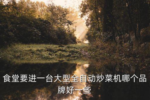 自動炒菜機商用哪家好，食堂要進一臺大型全自動炒菜機哪個品牌好一些
