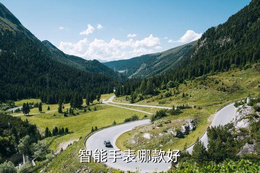 智能手表哪款好