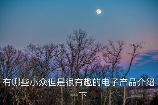 十大高科技產(chǎn)品小眾，有哪些很輕的高科技產(chǎn)品
