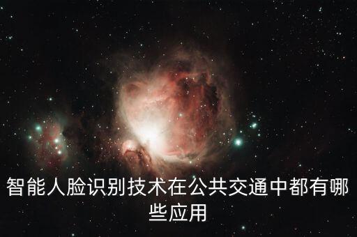 智能人臉識別技術(shù)在公共交通中都有哪些應用
