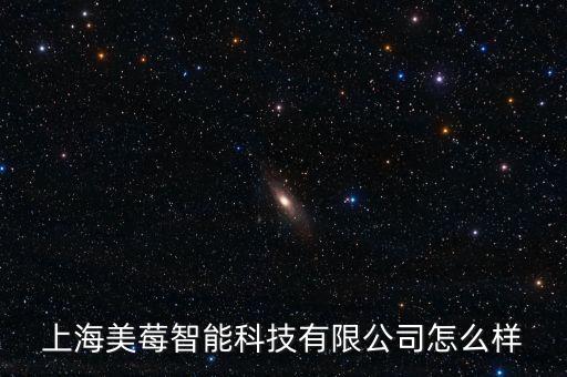 上海美莓智能科技有限公司怎么樣