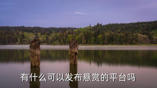 有什么可以發(fā)布懸賞的平臺(tái)嗎