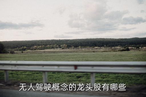 無人駕駛概念的龍頭股有哪些
