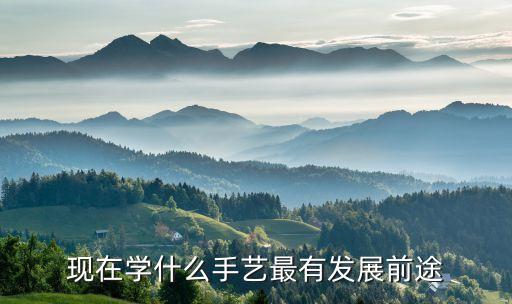 現(xiàn)在學(xué)什么手藝最有發(fā)展前途