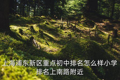 上海浦東新區(qū)重點初中排名怎么樣小學排名上南路附近