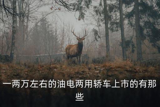 一兩萬左右的油電兩用轎車上市的有那些