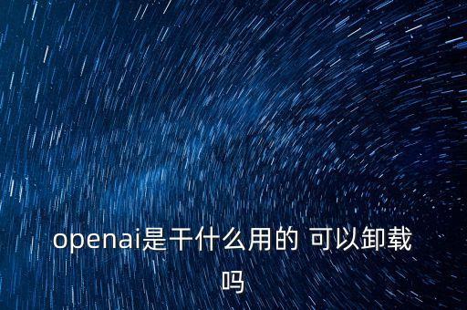 馬斯克投資openai，英雄島勇者之心的任務(wù)怎么過