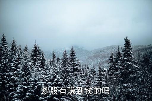 炒股有賺到錢的嗎