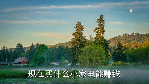 現(xiàn)在買什么小家電能賺錢