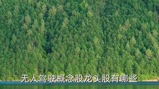 無人駕駛概念股龍頭股有哪些