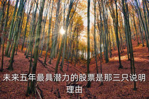 未來(lái)五年最具潛力的股票是那三只說(shuō)明理由