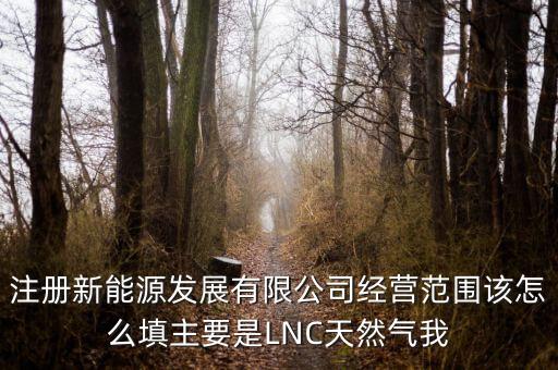 注冊(cè)新能源發(fā)展有限公司經(jīng)營(yíng)范圍該怎么填主要是LNC天然氣我