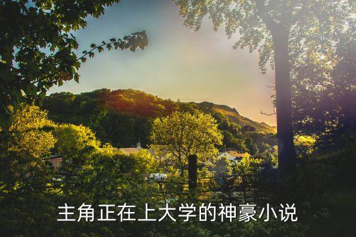 主角正在上大學(xué)的神豪小說(shuō)