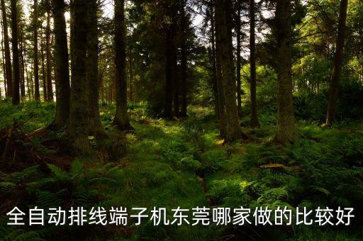 東莞市鑫峰自動(dòng)化設(shè)備有限公司，哪家公司的磁回機(jī)能讓廣大群眾用的實(shí)在呢
