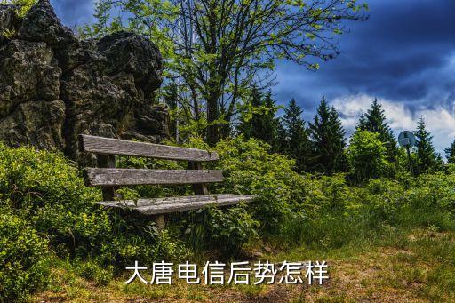 大唐電信最新消息，大唐電信s11的500萬像素怎么樣真實(shí)效果怎么樣因?yàn)楹枚嗍謾C(jī)