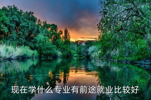 現(xiàn)在學什么專業(yè)有前途就業(yè)比較好