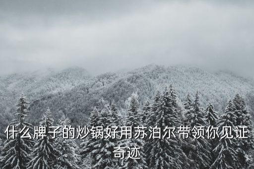 什么牌子的炒鍋好用蘇泊爾帶領(lǐng)你見證奇跡